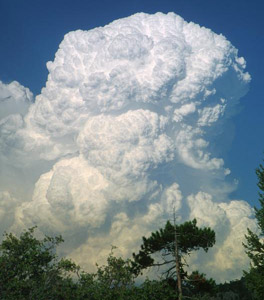 Cumulus cloud